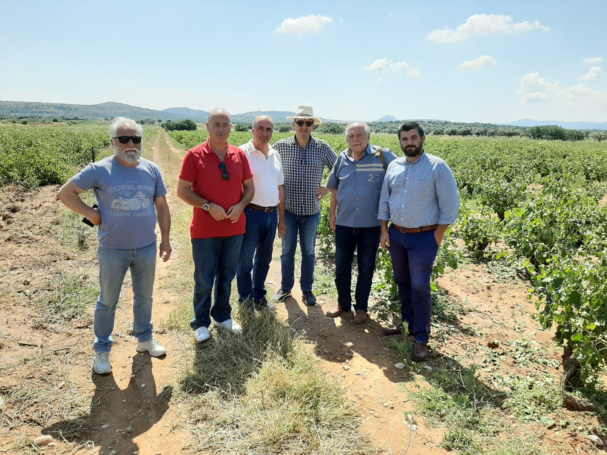 Κοινοβουλευτική ερώτηση για την στήριξη των αγροτών του Δήμου Σπάτων-Αρτέμιδας μετά την καταστροφική χαλαζόπτωση